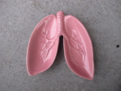 etsyifyourenasty:  Lung Tray