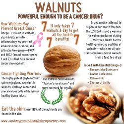 myfitnesscrush:  Nuts about nuts…healthy