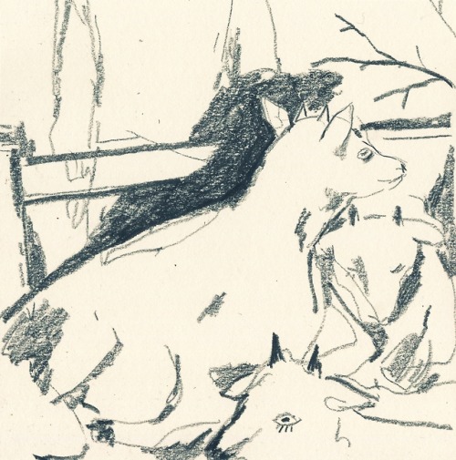 rotten-dead-wolf: st-pam:Goats, 2018Pencil @yteval