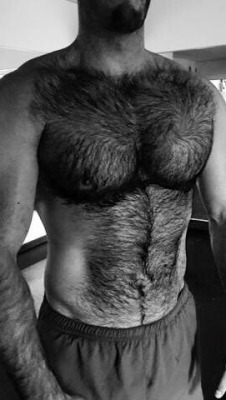 ty3141:Fury hairy bear. GRRRRR!