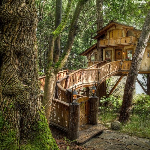 beautys-grace:  chevygirl78:  voiceofnature:Treehouse. Pictures by   Michael Victor    🥰  I think a treehouse would be a fabulous way to live….. until the wind picks up and the tree/trees start swaying 