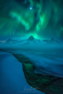 sundxwn:  Drowning in Delirium by Ryan Dyar