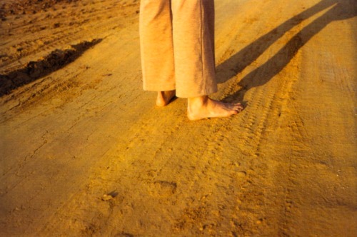 Porn Pics endilletante: William Eggleston, From black