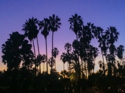 sleazeburger:The gradient skies of LA sunsets