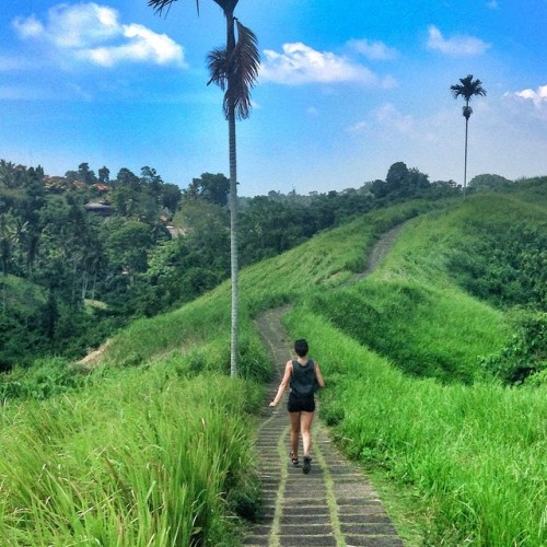 This photo was taken our very first week in Bali. We walked over this beautiful ridge and became ove