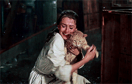cinema-gifs:  You mustn’t give your heart to a wild thing. The more you do, the