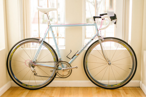 pedalfar:  Bella Donna by TheRobbStory on Flickr.