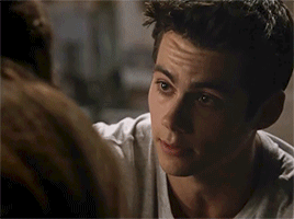 Stydia Colour Palate