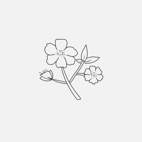 mitsuks:there’s no meaning to a flower unless it blooms | 04.07