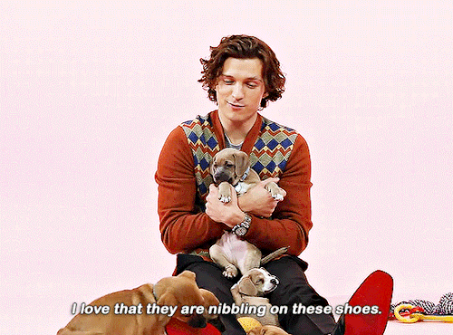 TOM HOLLAND: The Puppy Interview (Part Two)