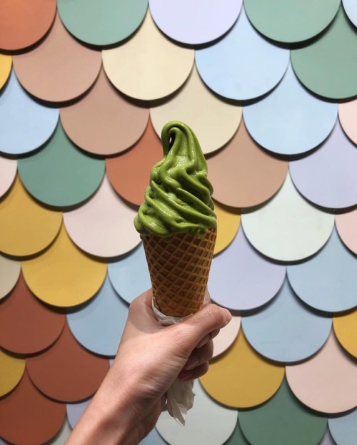 Matchaaaa. ___ #shotoniphone #icecream #softserve #matcha #sydneyeats (at Chanoma Cafe Sydney)