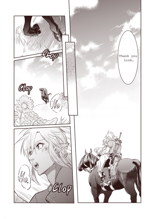 nanamename: I made my ZeLink comic English ver!My English is not perfect,so I hope that I could make