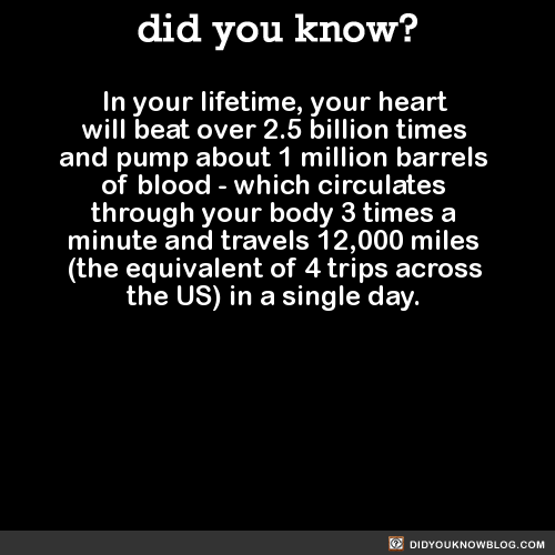 did-you-kno:In your lifetime, your heart will beat over 2.5 billion times and pump