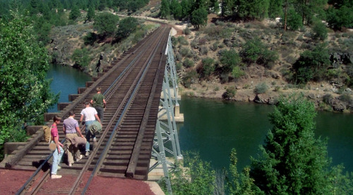Stand By Me (1986)Director: Rob Reiner DOP: Thomas Del Ruth