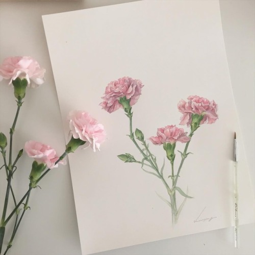 https://droopyangel.tumblr.com/post/166744954955