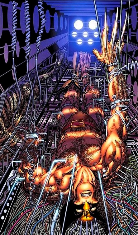 translucentmind:  Wolverine // Barry Windsor porn pictures