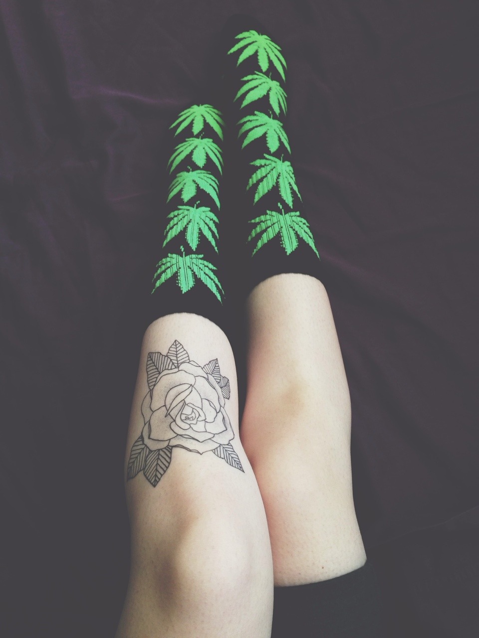 dtkmv:  ✖ 