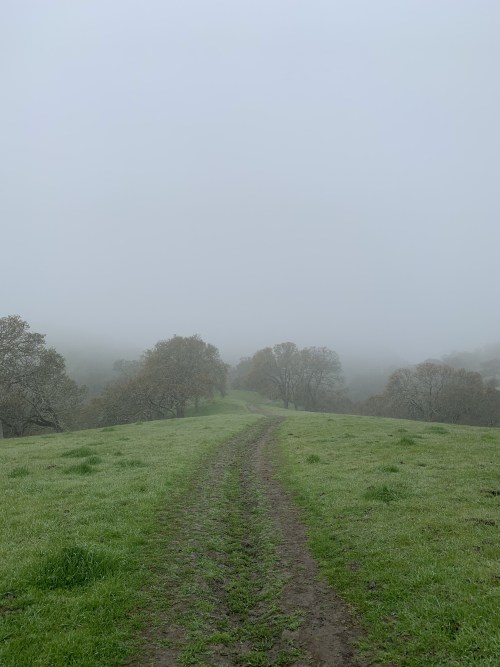 Winter hikes in the East Bay are becoming a yearly tradition for me. We recently hiked a new part of