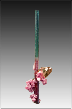 hematitehearts:  Tourmaline with Quartz &amp; LepidoliteLocality:  Pederneira Mine, Minas Gerais, BrazilSize:   13.0 x 4.8 cm