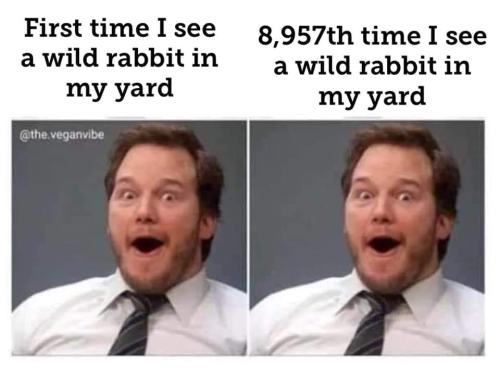 miafic