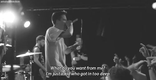 amutualddiction:  The Story So Far - High Regard 
