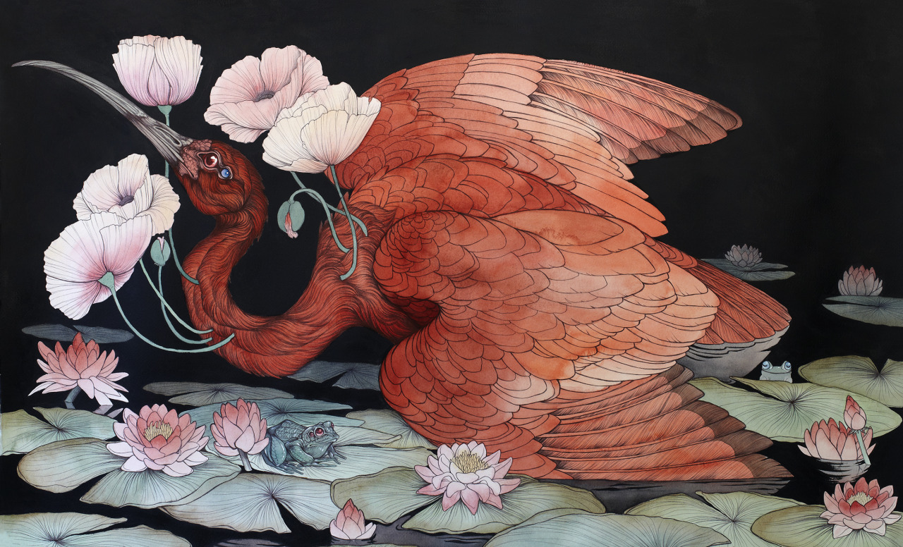 caitlinhackettart: a recent commission piece, a 22” by 36” Scarlet Ibis done
