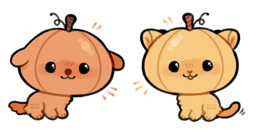 spicymochi:pupkin and pumpkitty