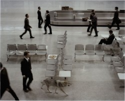 thenewloverofbeauty:Eve Sussman:  The Wolf in Tempelhof Airport, Berlin   (2005)  Video Still