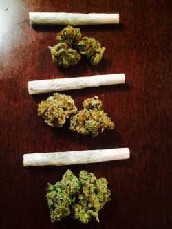 The-Ocean-In-One-Drop:  Top To Bottom: True Og Kush, The Jesus, Gorilla Glue