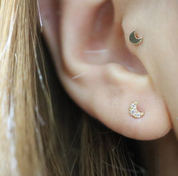 sosuperawesome:  Cartilage, Tragus and Ear