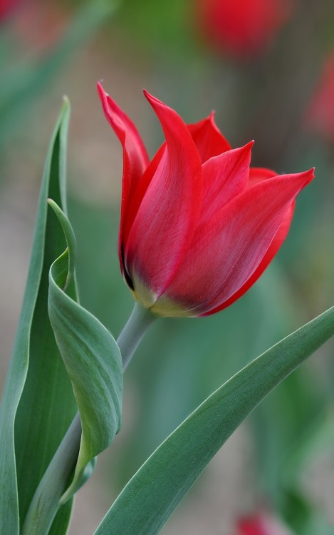 A Positively Beautiful Blog 2