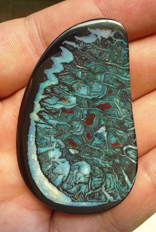 peaceful-moon: Most incredible boulder opal I’ve ever seen. 121cts.