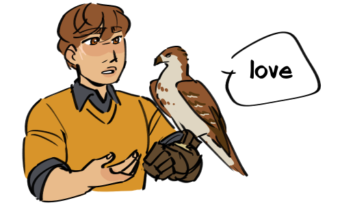 faerynova:this week on: saguru loves birds