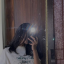 healedbutterfly22