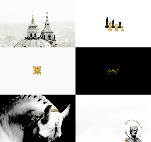 rosewaterhag:The Witcher + Aesthetic: Nilfgaardian Empire“The Nilfgaardian Empire is a powerful and 