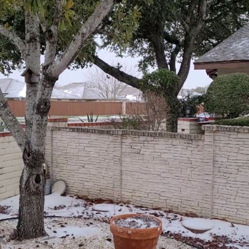 Now it is snowing and raining tiny ice pellets. Day 4 of the #texassnowpocalypse2021. Growing up in 