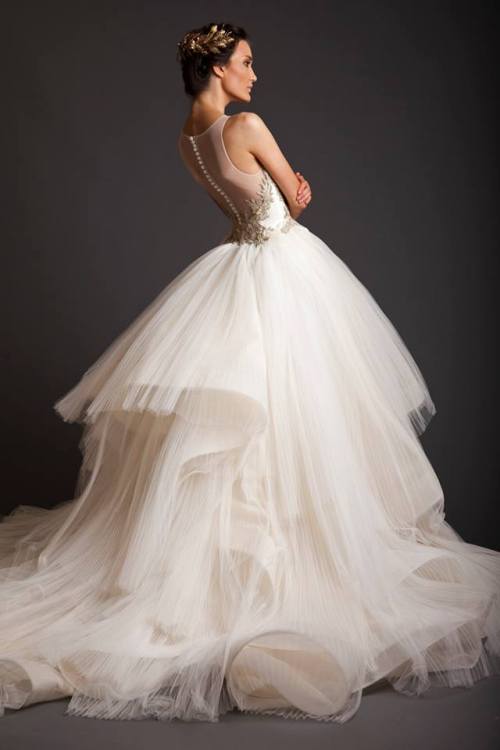 for Aelin