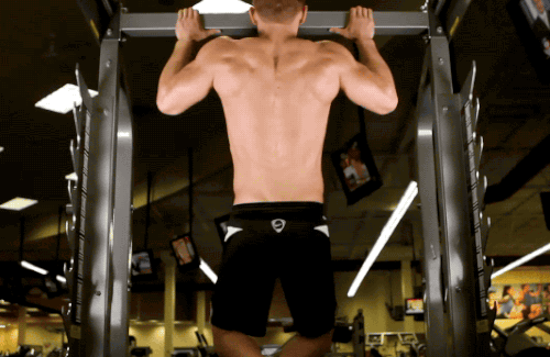 bodyschau.de