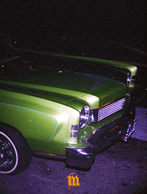 73' Monte