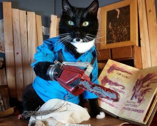 What? Its Just A Little Light Reading.