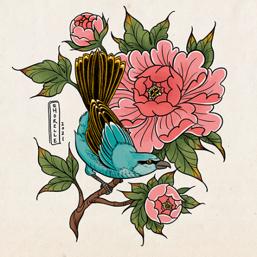 shrike &amp; peonies