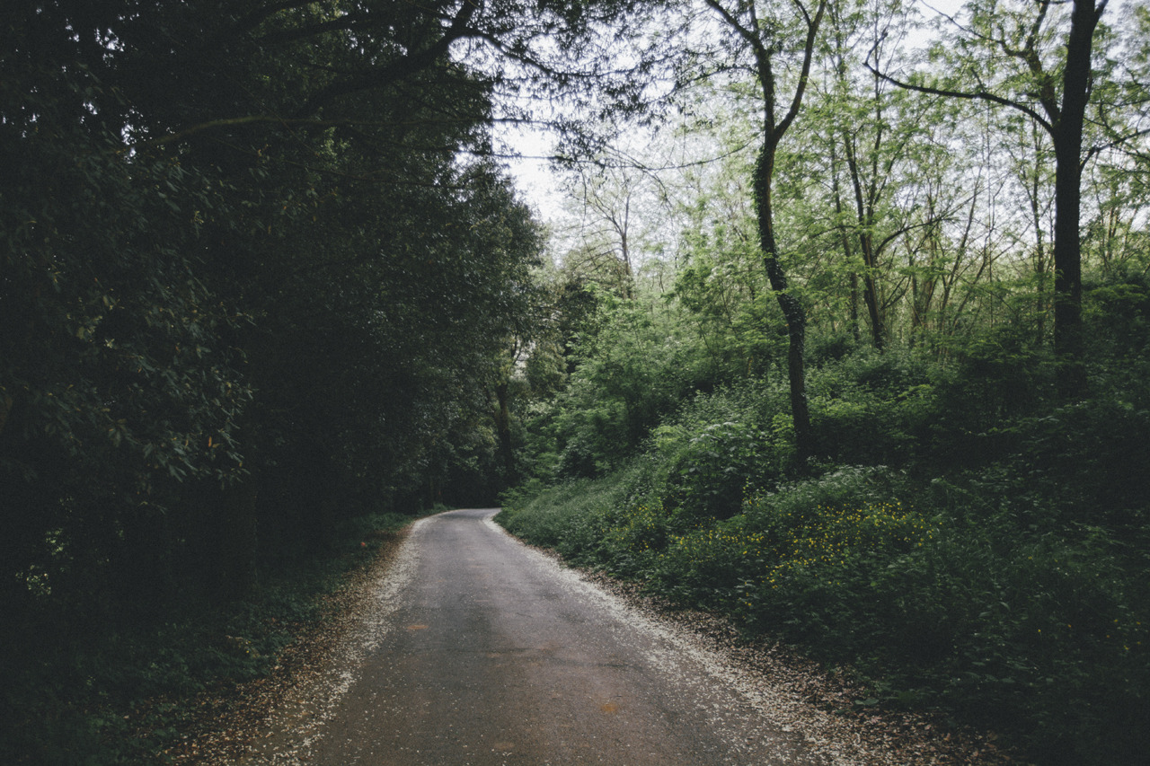 elenamorelli:  { the road to the nearest hill } 