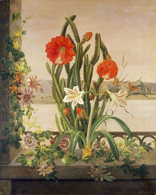 cactus-in-art:Christine Marie Løvmand (Danish, 1803-1872)A Still Life of a Cactus, Lilies and