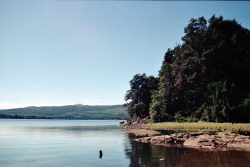 acevedomat:  Lago Aluminé Neuquén, Argentina