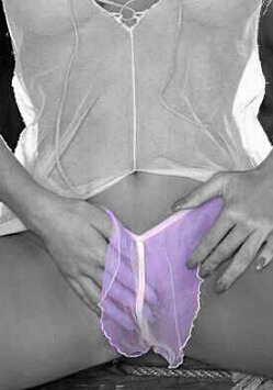 Fancycolorart:  Purple Panties Tease