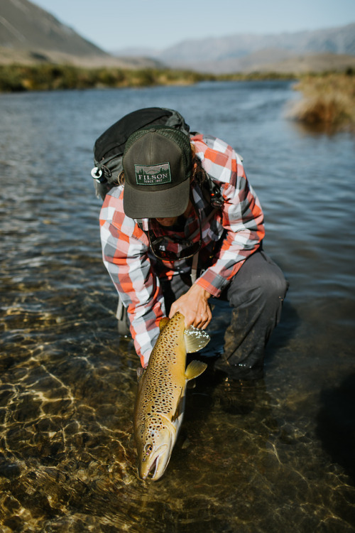 Dr. Jack Kos is a brown trout expert. He spent years studying them in New Zealand and even wrote his