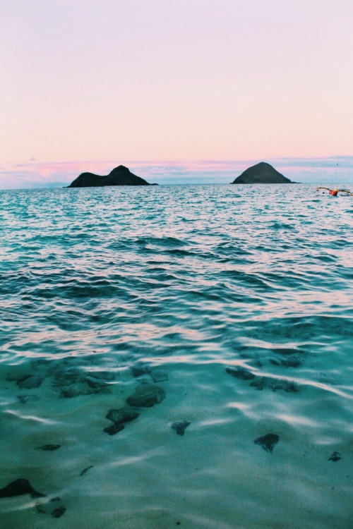 searchforsea:  chloekono:   I have a thing for sunsets    Who doesn’t?