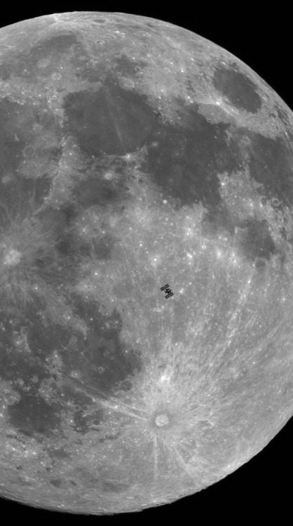 thedemon-hauntedworld:International Space Station Silhouetted against The Moon[credit]Am I seriously