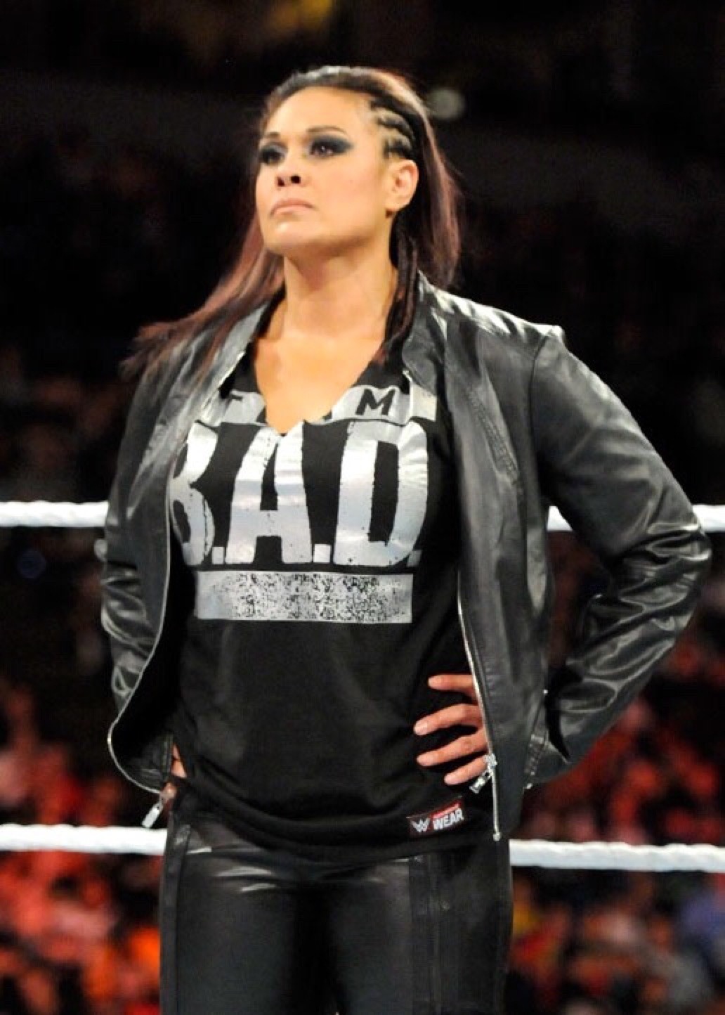 Dear WWE,