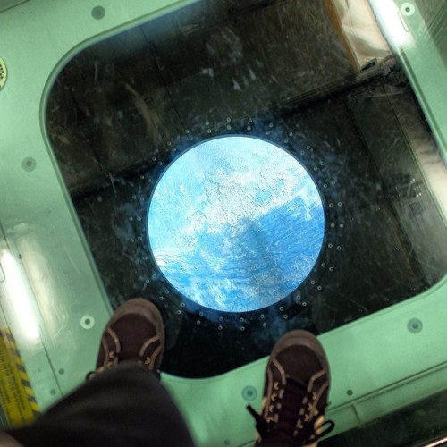 Oh yeah, I almost forgot. Also this week I took a trip up to the International Space Station. Here I am at the view port looking back down at earth. #roughlife #zerogravity #mof